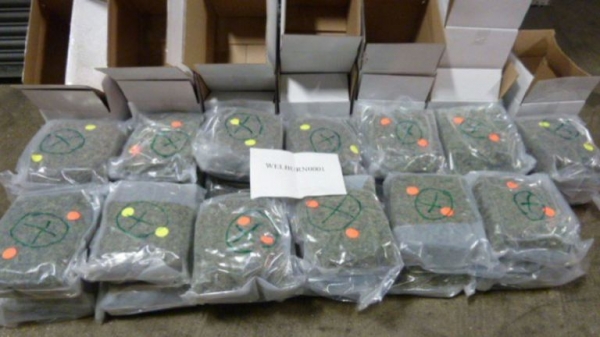 
                              Dutch smugglers used gone-off pizza cheese to hide &pound;5m cannabis stash
                      